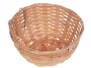 Karlie Brutnest aus Weide