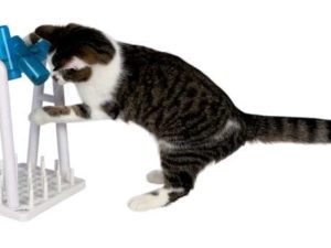 Trixie Cat Activity Turn Around