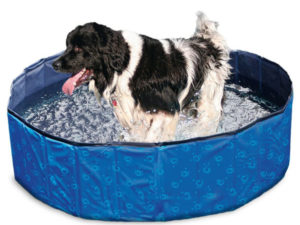 Karlie Flamingo DOGGY POOL Swimmingpool für Hunde - Blau gemustert - 120 cm