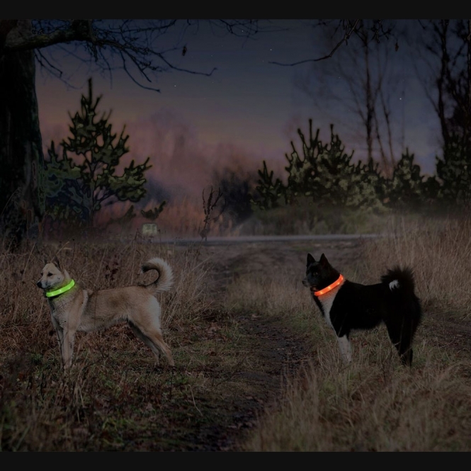 Karlie Flamingo Visio Light Langhaar LED-Leuchtschlauch - Blau – Bild 6