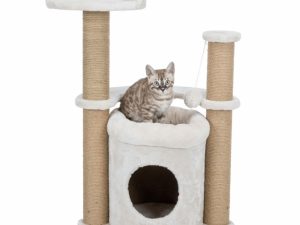 Trixie Kratzbaum Nayra