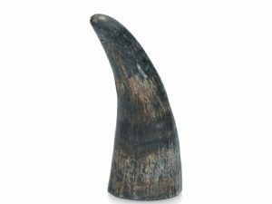 Viking Whole Horn - S
