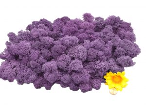 Muwse Islandmoos Flieder 100 g Maßstab Spur 1 Modellbau