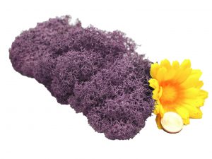 Muwse Islandmoos Flieder 10 g Maßstab Spur 1 Modellbau