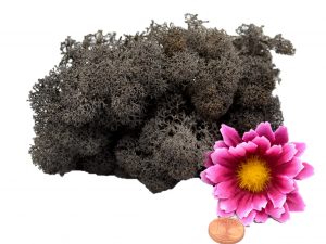 Muwse Islandmoos Dunkelgrau 10 g Maßstab Spur 1 Modellbau