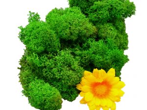 Muwse Islandmoos Grasgrün 25 g Maßstab Spur 1 Modellbau