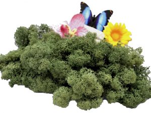 Muwse Islandmoos Tannengrün 25 g Maßstab Spur 1 Modellbau