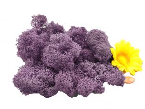 Muwse Islandmoos Flieder 25 g Maßstab Spur 1 Modellbau