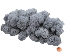 Muwse Islandmoos Titangrau 50 g Maßstab Spur 1 Modellbau