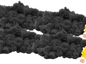 Muwse Islandmoos Dunkelgrau 100 g händisch gerupft Osternest Weihnachtskrippe