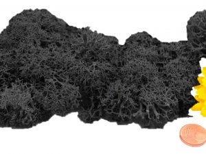 Muwse Islandmoos Dunkelgrau 10 g händisch gerupft Osternest Weihnachtskrippe