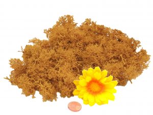 Muwse Islandmoos Melonengelb 25 g händisch gerupft Osternest Weihnachtskrippe