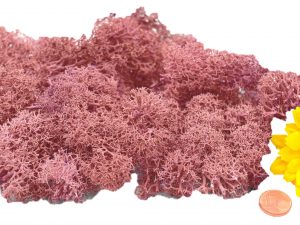 Muwse Islandmoos Rosa 25 g händisch gerupft Osternest Weihnachtskrippe