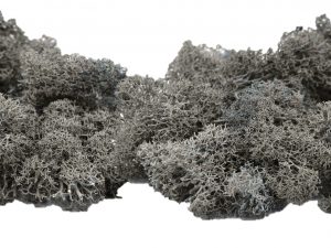 Muwse Islandmoos Titangrau 50 g händisch gerupft Osternest Weihnachtskrippe