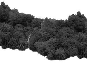 Muwse Islandmoos Dunkelgrau 50 g händisch gerupft Osternest Weihnachtskrippe