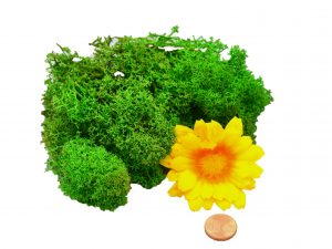 Muwse Islandmoos Grasgrün 10 g Maßstab Spur G Modellbau