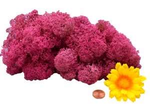 Muwse Islandmoos Veilchen Pink 25 g Maßstab Spur G Modellbau