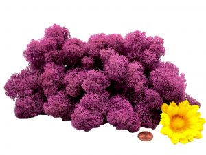 Muwse Islandmoos Viola 50 g Maßstab Spur G Modellbau