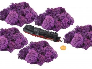 Muwse Islandmoos Viola 25 g Maßstab Spur N Modellbau