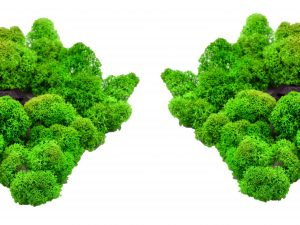 Muwse Islandmoos Grasgrün 50 g Maßstab Spur N Modellbau