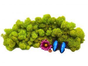 Muwse Islandmoos Frühlingsgrün 100 g Maßstab Spur 0 Modellbau