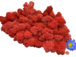 Muwse Islandmoos Mohnrot 100 g Maßstab Spur 0 Modellbau