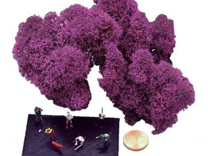 Muwse Islandmoos Viola 10 g Maßstab Spur TT Modellbau