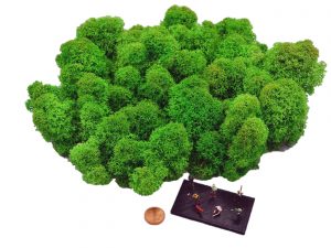 Muwse Islandmoos Grasgrün 50 g Maßstab Spur TT Modellbau