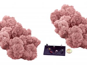 Muwse Islandmoos Rosa 50 g Maßstab Spur TT Modellbau