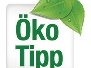 PAPSTAR Teller pure 11185 23cm rund Pappe weiß 100 St./Pack.