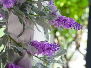 EUROPALMS Blütengirlande, künstlich, pink, 180cm