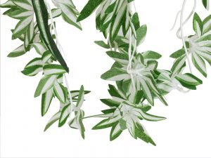 EUROPALMS Grünlilie, künstlich, 60cm