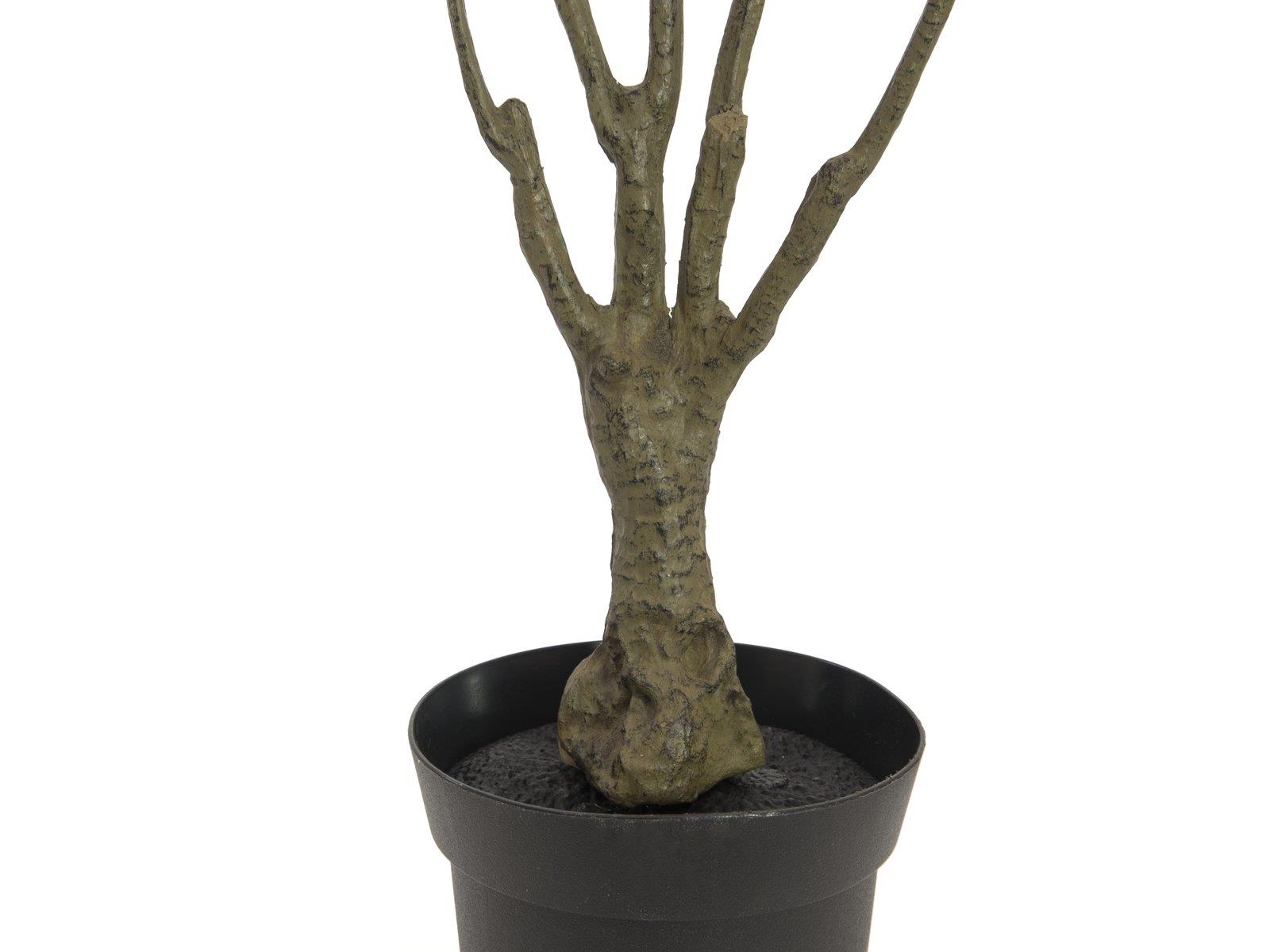 EUROPALMS Dracena, künstlich, grün-rot, 90cm