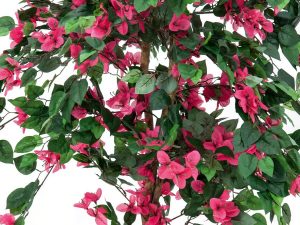 EUROPALMS Bougainvillea, Kunstpflanze, rosa, 180cm