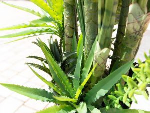 EUROPALMS Sukkulenten-Mix, Kunstpflanze, 190cm