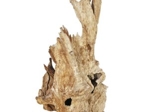 EUROPALMS Wurzelobjekt Teak natur 160cm