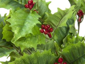 EUROPALMS Stechlaub 43cm