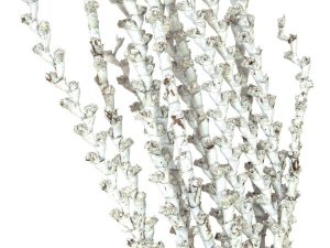 EUROPALMS Galho Buriti weiß 150cm