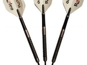 Roleo Steeldartpfeile Professional 22g