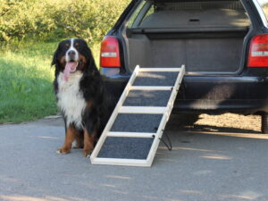 Easy-Hopper Hunderampe Komfort Natur mit Rasenbelag