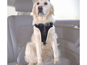 Trixie Auto-Sicherheitsgeschirr Dog Protect - S-M: 40-55 cm