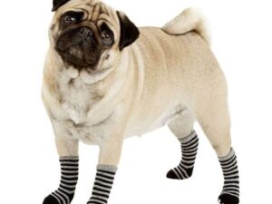 Karlie Doggy Socks Hundesocken 4er Set - Schwarz/Grau - M