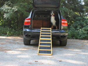 Easy-Hopper Hunderampe Komfort imprägniert mit Feinriefengummimatte
