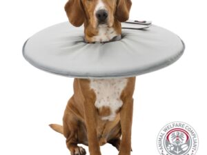 Trixie Schutzkragen - grau - S / 30–34 cm