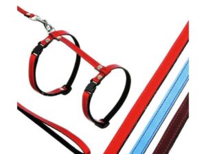 Karlie Katzengarnitur - Blau