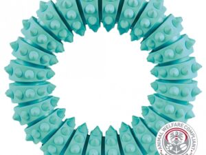 Trixie Denta Fun Ring mit Minzgeschmack