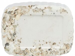 Trixie Pickstein mit Muscheln - 200 g