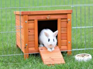 Trixie Natura Kleintierhaus - 42 x 43 x 51 cm