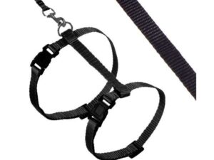 Karlie ASP Katzengeschirr mit Leine - Schwarz