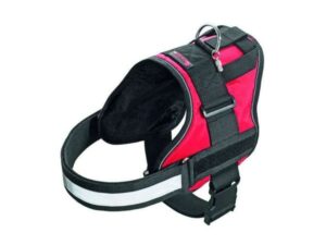 Karlie Xtreme No Limit Teflon-Geschirr - Rot - 38mm x 67 - 84cm